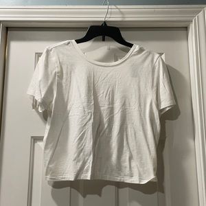 NWT crop aerie top